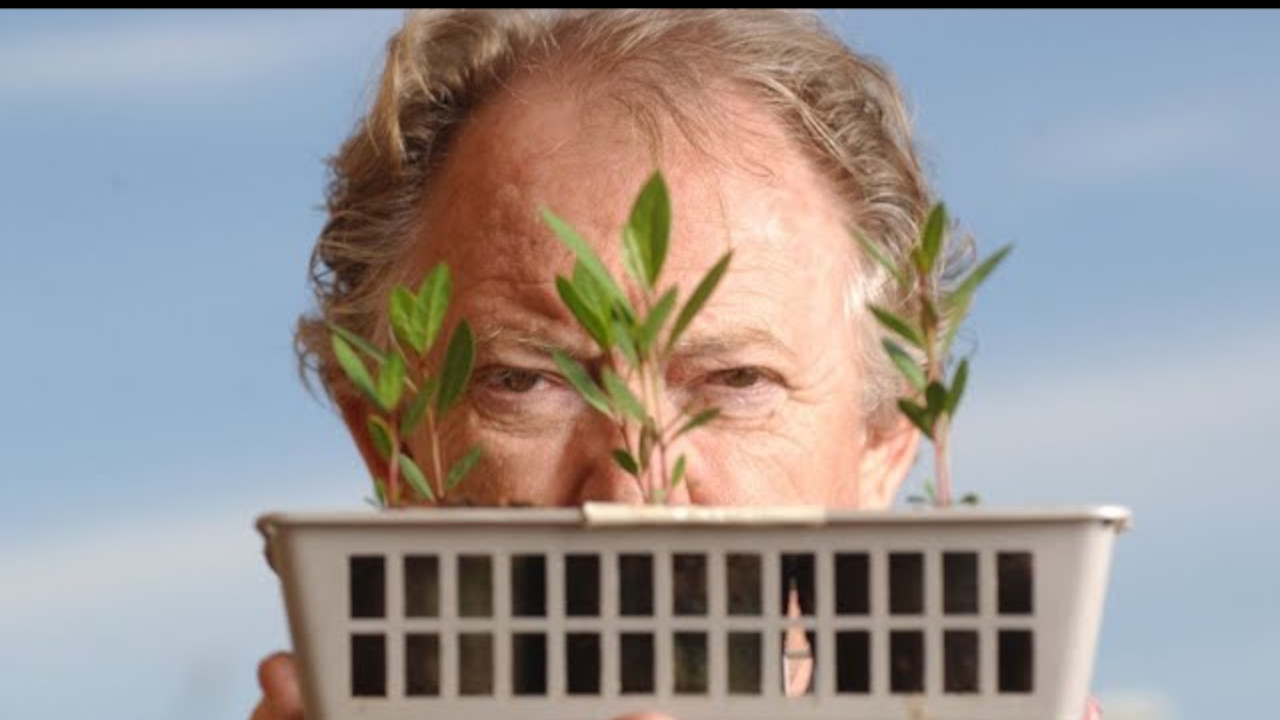 [002] The Heat Shield of Abundance, Chapter 2: The Desert Lung – Dr. Carl Hodges and the Mirage of the Gulf