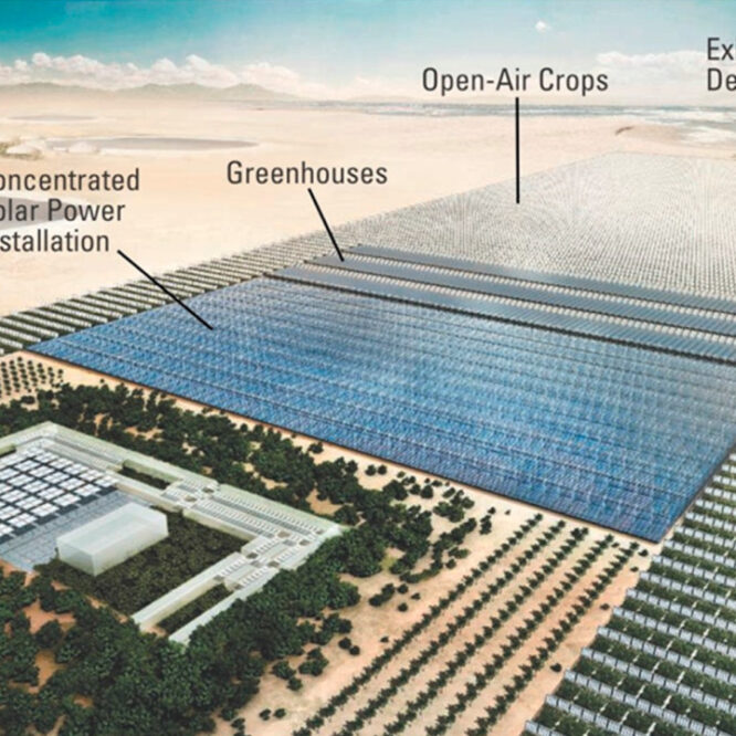 Sahara-Forest-Project